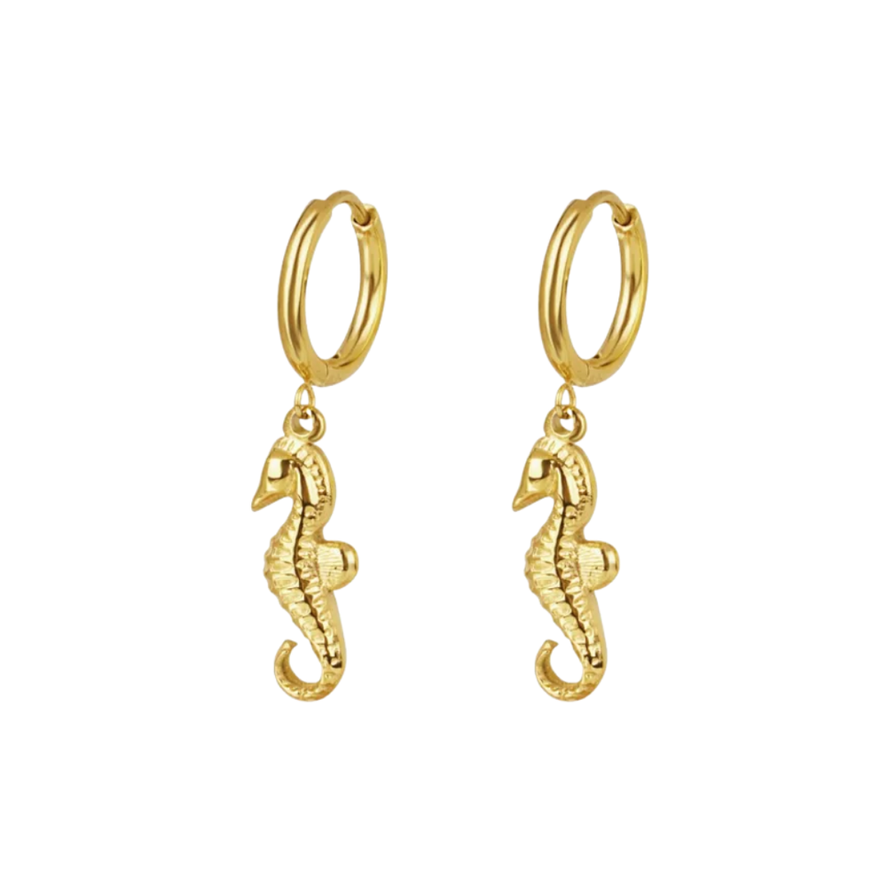 Plain Seahorse Hoops