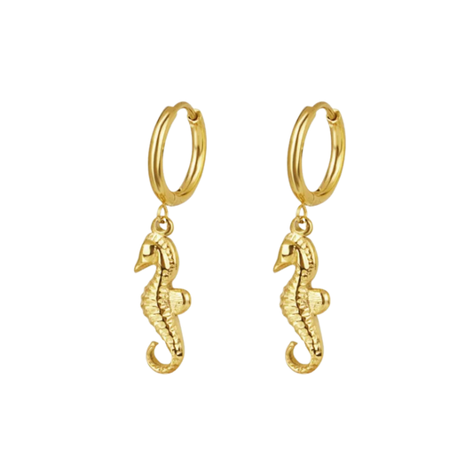 Plain Seahorse Hoops