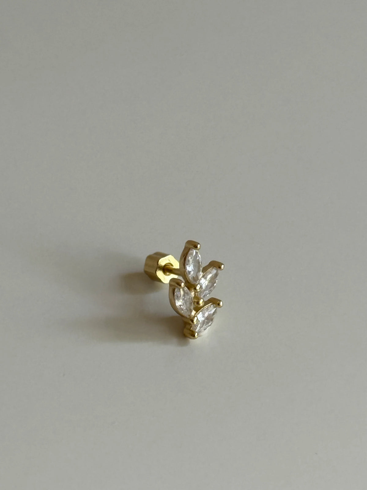 Celen stud